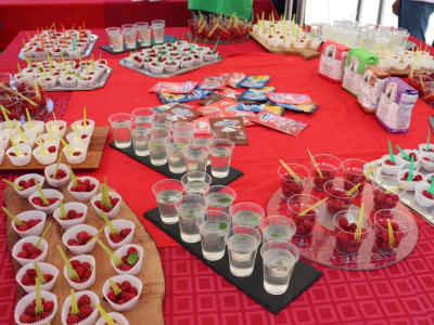 Sajam "Dani maline" u Novom Travniku