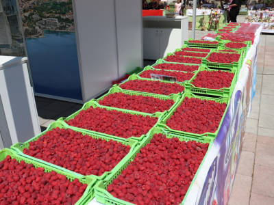 Sajam "Dani maline" u Novom Travniku