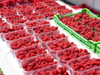 Sajam "Dani maline" u Novom Travniku