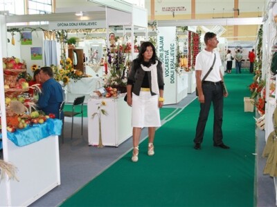 Donji Kraljevec sajam - 2008