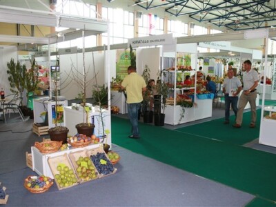 Donji Kraljevec sajam - 2008