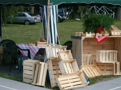 Donji Kraljevec sajam - 2008