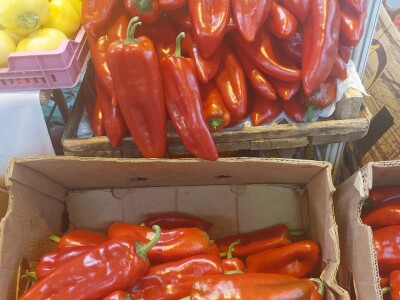 Sajam "Jesen u Visokom 2023"