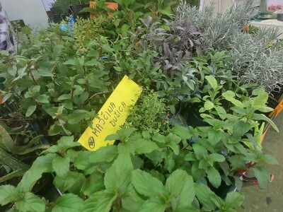 Sajam "Jesen u Visokom 2023"