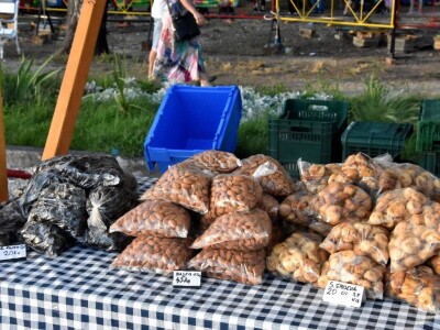 Sajam malih OPG-ova na Rivi u Zadru