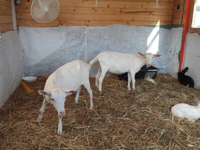 Sajam OPG-ova i delikatesa 2023