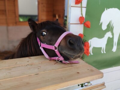 Sajam OPG-ova i delikatesa 2023