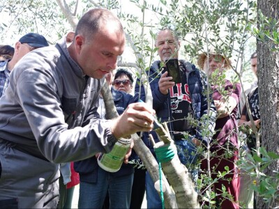Sajam otočnih proizvoda Poljana, otok Ugljan
