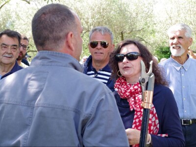 Sajam otočnih proizvoda Poljana, otok Ugljan