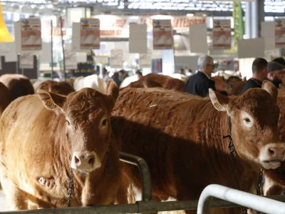 Sajam SIMA sluša priče i snove farmera iz cele Evrope
