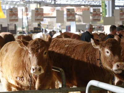 Sajam SIMA sluša priče i snove farmera iz cele Evrope