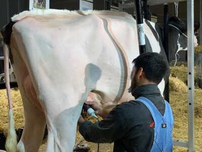 Sajam SIMA sluša priče i snove farmera iz cele Evrope