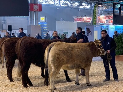 Sajam SIMA sluša priče i snove farmera iz cijele Europe