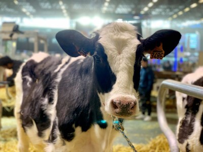 Sajam SIMA sluša priče i snove farmera iz cijele Europe