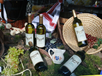 Sajam Slavin 2010, Orahovica