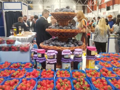 Sajam šljive, Gradačac, 2022