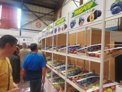 Sajam šljive, Gradačac, 2022