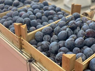 "Sajam šljive" u Gradačcu, 2024. godine