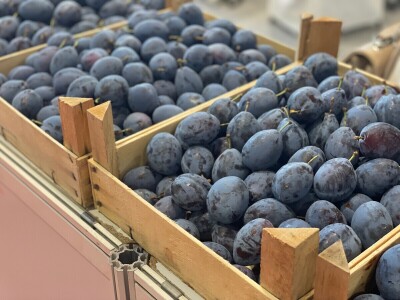 "Sajam šljive" u Gradačcu, 2024. godine