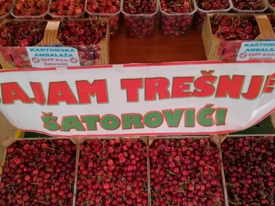 Sajam trešanja - Šatrovići Sajam trešanja - Šatrovići