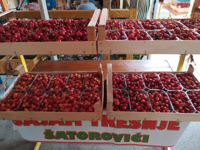 Sajam trešanja - Šatrovići Sajam trešanja - Šatrovići