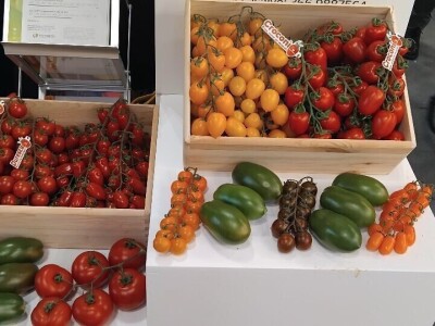 Sajam u Riminiju, Macfrut 2024