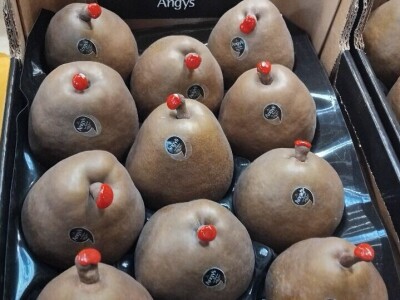 Sajam u Riminiju, Macfrut 2024