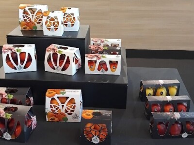 Sajam u Riminiju, Macfrut 2024