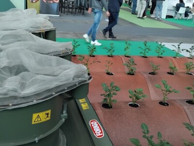 Sajam u Riminiju, Macfrut 2024