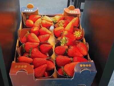 Sajam u Riminiju, Macfrut 2024