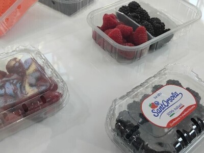 Sajam u Riminiju, Macfrut 2024