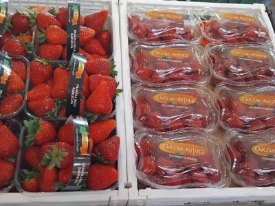 Sajam u Riminiju, Macfrut 2024