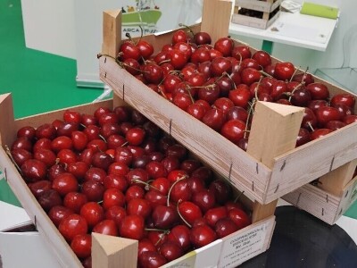 Sajam u Riminiju, Macfrut 2024