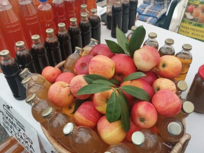 Sajam u Zenici - OPENS