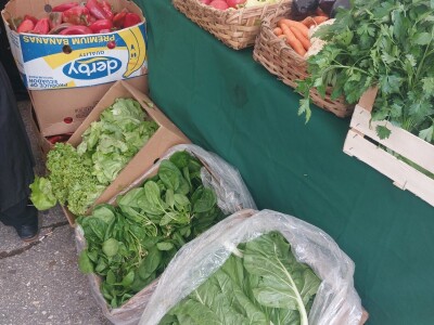 Sajam u Zenici - OPENS