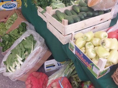 Sajam u Zenici - OPENS