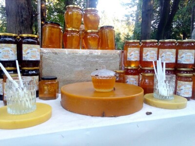 Sajam vina i meda Trebinje