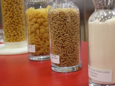 Sajam World Mill Tech - Istanbul, Turska