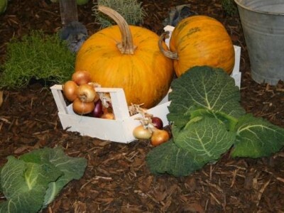 Bundeve, detalj sa sajma Bundeve, detalj sa sajma