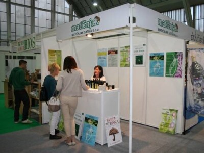 Matičnjak Sativa Matičnjak Sativa