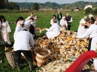 Lupitva kuruze Lupitva kuruze