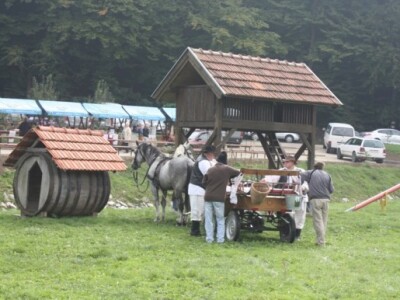 I konji su zaslužili odmor I konji su zaslužili odmor
