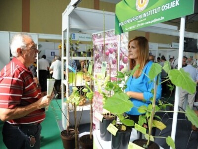 Prodavale su se i sadnice