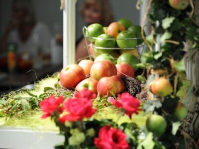 Plodovi prirode u punom sjaju