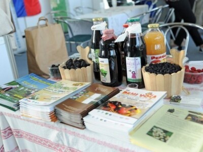 Aronija kao predstavnik bobičastoga voća