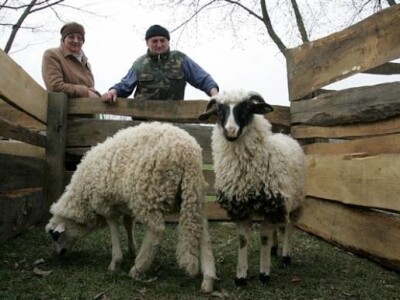 12. sajam &quot;Proizvodi Hrvatskog seljaka&quot;