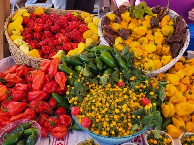 Sajamska manifestacija