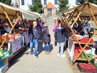 Sajamska manifestacija