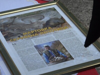 Sakupjanje vrganja može biti unosan hobi