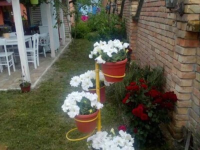 Salaš Gnjezdo u Baškoj Palanci Salaš Gnjezdo u Baškoj Palanci